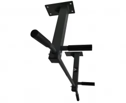 Турник потолочный DFC Homegym G486, фото 1