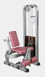 Разгибание ног сидя Body Solid ProClub SLE-200G, фото 1
