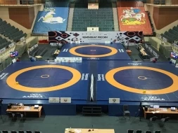 Покрытие для ковра борцовского 12х12 м ОДНОЦВЕТНОЕ СТП-115, фото 3