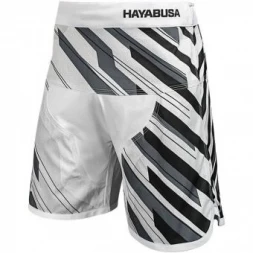 Шорты Hayabusa hayshorts081, фото 1
