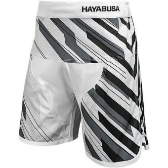 Шорты Hayabusa hayshorts081, фото 1