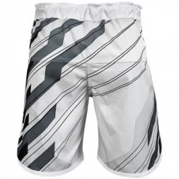 Шорты Hayabusa hayshorts081, фото 2