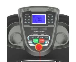 Беговая дорожка DFC WALKER EVO PRO для реабилитации T-S1 PRO, фото 12