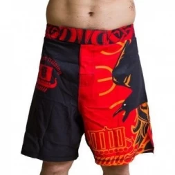 Шорты Hardcore Training hctshorts01, фото 1