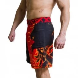 Шорты Hardcore Training hctshorts01, фото 4