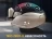 Массажное кресло FUJIMO 氣 GURU2 F800 Коричневый