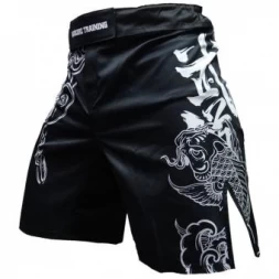 Шорты Hardcore Training hctshorts032, фото 1
