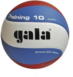 Мяч волейбольный GALA Training 10