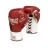 Перчатки боевые MX Pro Fight 10oz 