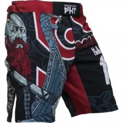 Шорты Hardcore Training hctshorts055, фото 2