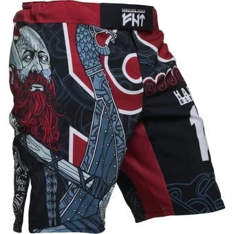 Шорты Hardcore Training hctshorts055, фото 2
