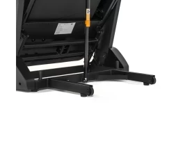 Беговая дорожка DFC SANTANA Pro T757, фото 5