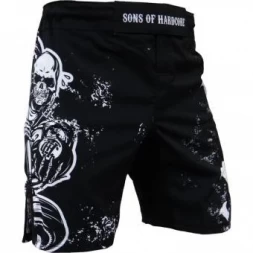 Шорты Hardcore Training hctshorts030, фото 3