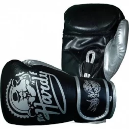 Боксерские Перчатки Hardcore Training hctboxglove01, фото 1
