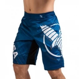 Шорты Hayabusa hayshorts098