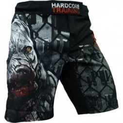 Шорты Hardcore Training hctshorts018, фото 2
