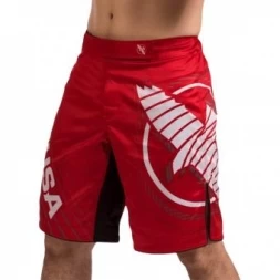 Шорты Hayabusa hayshorts096