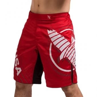 Шорты Hayabusa hayshorts096, фото 1