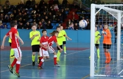 Ворота футбольные алюминиевые мобильные 7,32х2,44 м, фото 5
