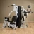 Брусья для Body-Solid EXM3000LPS