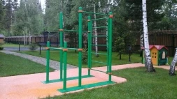 Мобильный спортивный комплекс с лестницей, двумя турниками и брусьями СВС-101, фото 3