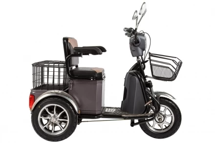 Электротрицикл RuTrike S1 V2, фото 2