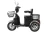 Электротрицикл RuTrike S1 V2
