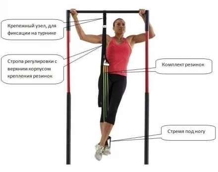 Эспандерная система Kampfer KSW professional Elastic GYM, фото 2