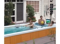 Плавательный Спа Бассейн JNJ SPAS Swim SPA-8188, фото 2