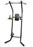 Изображение товара Стойка для подтягиваний DFC Athletic SJ600