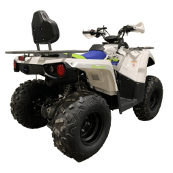 Квадроцикл MOTOLAND Shark 200, фото 5