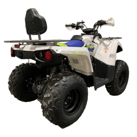 Квадроцикл MOTOLAND Shark 200, фото 5