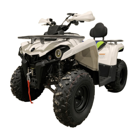 Квадроцикл MOTOLAND Shark 200, фото 1