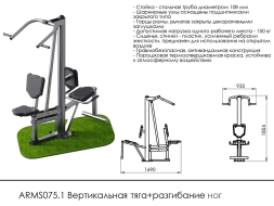 Уличный тренажёр для вертикальной тяги и разгибания ног ARMS075.1, фото 2