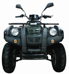 Квадроцикл ADLY ATV-150U, фото 3 Квадроцикл ADLY ATV-150U, фото 3