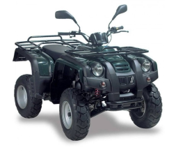 Квадроцикл ADLY ATV-150U, фото 2 Квадроцикл ADLY ATV-150U, фото 2