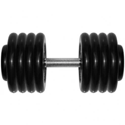 Гантель Barbell 43,5 кг профи