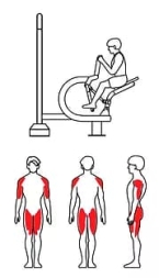 ZOV-013 Наездник, фото 2
