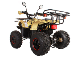 Квадроцикл AVANTIS Hunter 8 Lux, фото 6 Квадроцикл AVANTIS Hunter 8 Lux, фото 6