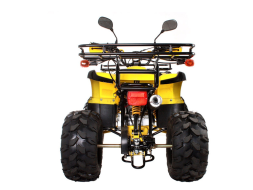 Квадроцикл AVANTIS Hunter 8 Lux, фото 4 Квадроцикл AVANTIS Hunter 8 Lux, фото 4
