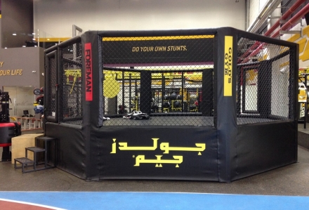 Октагон с подиумом Foreman для смешанных единоборств ММА FY-813, фото 3