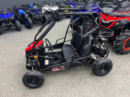 Багги SHARMAX Тигр 250, фото 3