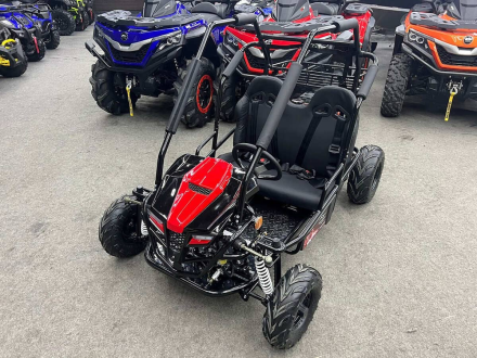 Багги SHARMAX Тигр 250, фото 2