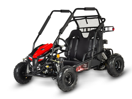 Багги SHARMAX Тигр 250, фото 1