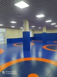 Покрытие для ковра борцовского 12х12 м ОДНОЦВЕТНОЕ СТП-115, фото 2