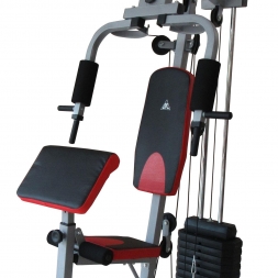 Силовой комплекс DFC HomeGym D7001 / стек 45 кг, фото 2