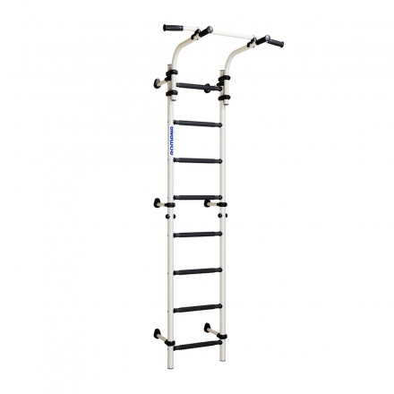Спортивный комплекс РоманаТинейджер S8 (ДСКМ-2С-8.06.Г2.410.01-01) обливные белый антик золото/чёрны, фото 1