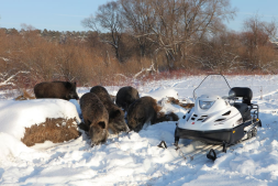 Снегоход Тайга Варяг 550 V SE, фото 8