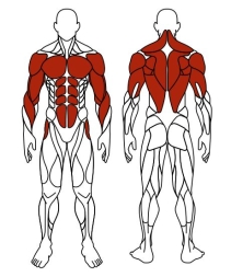 Турник три хвата+брусья (серый) - Уличный тренажер - СТ 012-13, фото 6