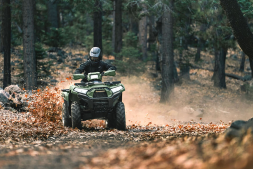 Квадроцикл KAWASAKI Brute Force 750 LE EPS (2024) (ПСМ), фото 8